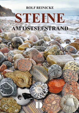 Abbildung von Reinicke | Steine am Ostseestrand | 8. Auflage | 2024 | beck-shop.de