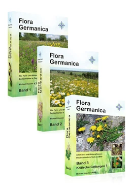 Abbildung von Hassler / Muer | Flora Germanica | 1. Auflage | 2024 | beck-shop.de