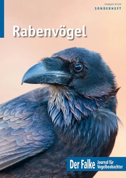 Abbildung von Redaktion Der Falke | Rabenvögel | 1. Auflage | 2024 | beck-shop.de