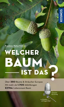 Abbildung von Spohn | Welcher Baum ist das? | 1. Auflage | 2024 | beck-shop.de