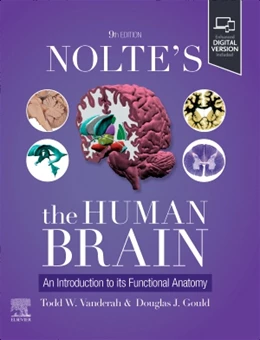 Abbildung von Vanderah / Gould | Nolte's The Human Brain | 9. Auflage | 2025 | beck-shop.de