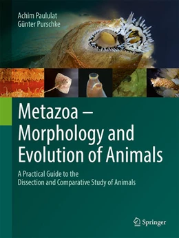 Abbildung von Paululat / Purschke | Metazoa – Morphology and Evolution of Animals | 2. Auflage | 2025 | beck-shop.de