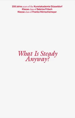 Abbildung von Bosch / Kaczmarek | What Is Steady Anyway? | 1. Auflage | 2024 | beck-shop.de