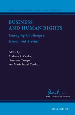 Abbildung von Ziegler | Business and Human Rights | 1. Auflage | 2025 | beck-shop.de