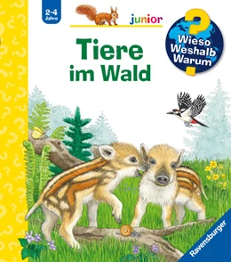 Abbildung von Mennen | Wieso? Weshalb? Warum? junior, Band 77 - Tiere im Wald | 1. Auflage | 2025 | beck-shop.de