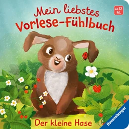 Abbildung von Höck | Mein liebstes Vorlese-Fühlbuch - Der kleine Hase | 1. Auflage | 2025 | beck-shop.de