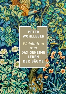 Abbildung von Wohlleben | Weisheiten aus 'Das geheime Leben der Bäume' | 1. Auflage | 2024 | beck-shop.de