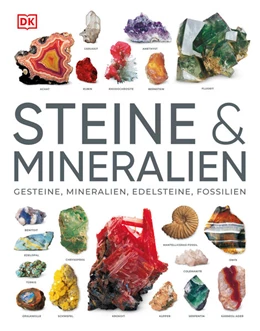 Abbildung von Louis | Steine & Mineralien | 1. Auflage | 2024 | beck-shop.de
