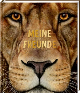 Abbildung von Freundebuch - Meine Freunde | 1. Auflage | 2025 | beck-shop.de