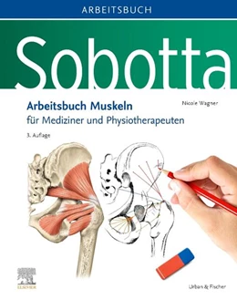 Abbildung von Wagner | Sobotta Arbeitsbuch Muskeln | 3. Auflage | 2024 | beck-shop.de