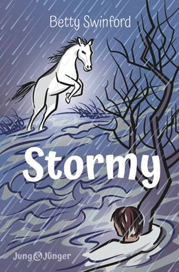 Abbildung von Swinford | Stormy | 1. Auflage | 2024 | beck-shop.de