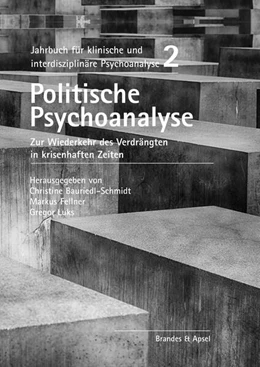 Abbildung von Bauriedl-Schmidt / Fellner | Politische Psychoanalyse | 1. Auflage | 2024 | beck-shop.de