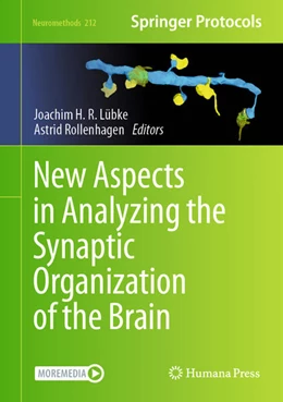 Abbildung von Lübke / Rollenhagen | New Aspects in Analyzing the Synaptic Organization of the Brain | 1. Auflage | 2024 | beck-shop.de