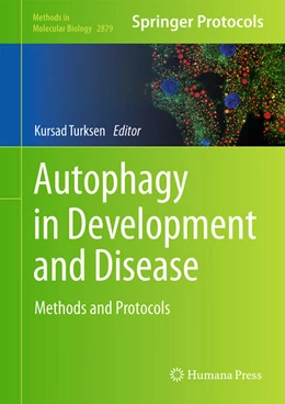 Abbildung von Turksen | Autophagy in Development and Disease | 1. Auflage | 2025 | 2879 | beck-shop.de