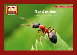 Abbildung von Die Ameise / Kamishibai Bildkarten | 1. Auflage | 2024 | beck-shop.de