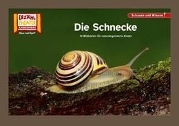 Abbildung von Die Schnecke / Kamishibai Bildkarten | 1. Auflage | 2024 | beck-shop.de