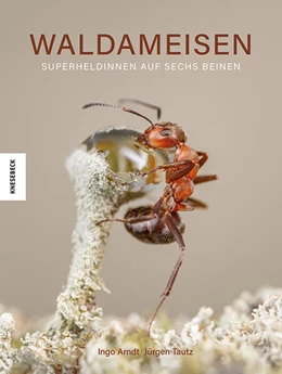 Abbildung von Arndt / Tautz | Waldameisen | 1. Auflage | 2025 | beck-shop.de