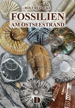 Abbildung von Reinicke | Fossilien am Ostseestrand | 3. Auflage | 2025 | beck-shop.de