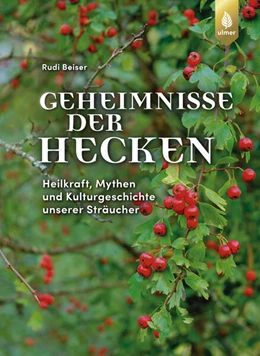 Abbildung von Beiser | Geheimnisse der Hecken | 2. Auflage | 2024 | beck-shop.de
