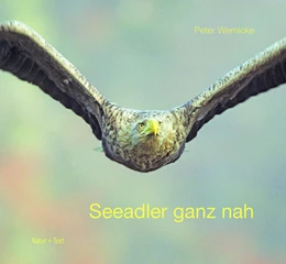 Abbildung von Wernicke | Seeadler ganz nah | 1. Auflage | 2024 | beck-shop.de