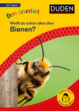 Abbildung von Küntzel | Dein Lesestart: Weißt du schon alles über Bienen? Ab 1. Klasse | 1. Auflage | 2025 | beck-shop.de