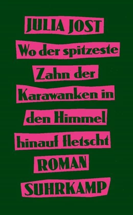 Abbildung von Jost | Wo der spitzeste Zahn der Karawanken in den Himmel hinauf fletscht | 1. Auflage | 2025 | beck-shop.de