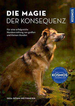 Abbildung von Böhm-Reithmeier | Die Magie der Konsequenz | 1. Auflage | 2025 | beck-shop.de