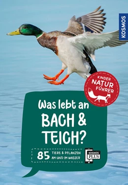 Abbildung von Saan | Was lebt an Bach und Teich? Kindernaturführer | 2. Auflage | 2025 | beck-shop.de