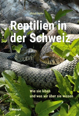 Abbildung von Hofer | Reptilien in der Schweiz | 1. Auflage | 2025 | beck-shop.de
