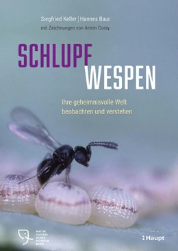 Abbildung von Keller / Baur | Schlupfwespen | 1. Auflage | 2025 | beck-shop.de