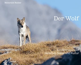 Abbildung von Haller | Der Wolf | 1. Auflage | 2025 | beck-shop.de