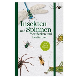 Abbildung von Insekten und Spinnen entdecken und bestimmen | 1. Auflage | 2025 | beck-shop.de