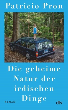Abbildung von Pron | Die geheime Natur der irdischen Dinge | 1. Auflage | 2025 | beck-shop.de