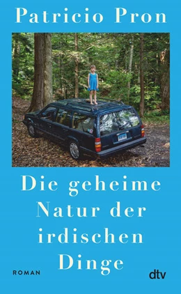 Abbildung von Pron | Die geheime Natur der irdischen Dinge | 1. Auflage | 2025 | beck-shop.de