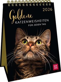 Abbildung von Groh Verlag | Wochenkalender 2026: Goldene Katzenweisheiten für jeden Tag | 1. Auflage | 2025 | beck-shop.de