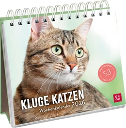 Abbildung von Groh Verlag | Wochenkalender 2026: Kluge Katzen | 1. Auflage | 2025 | beck-shop.de