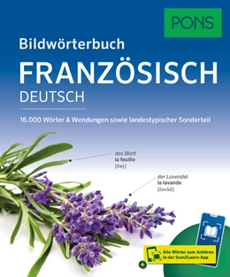 Abbildung von PONS Bildwörterbuch Französisch | 1. Auflage | 2025 | beck-shop.de