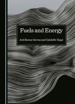 Abbildung von Sarma / Tyagi | Fuels and Energy | 1. Auflage | 2024 | beck-shop.de