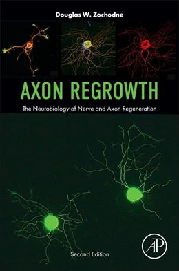 Abbildung von Axon Regrowth | 1. Auflage | 2025 | beck-shop.de