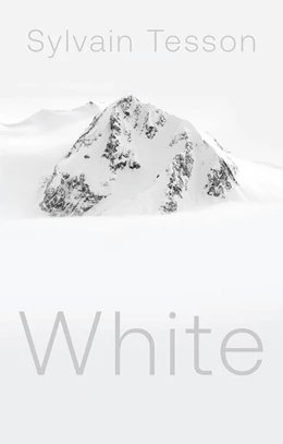 Abbildung von Tesson | White | 1. Auflage | 2025 | beck-shop.de