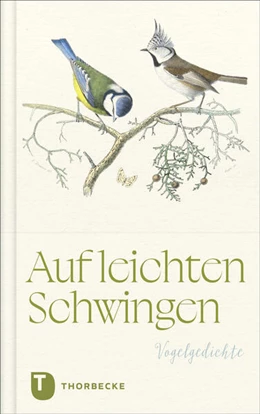 Abbildung von Auf leichten Schwingen | 1. Auflage | 2025 | beck-shop.de