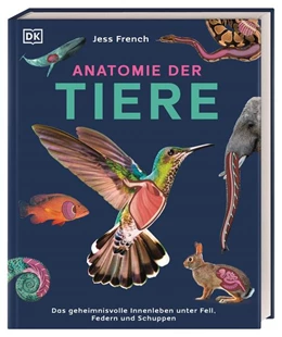 Abbildung von French / DK Verlag - Kids | Anatomie der Tiere | 1. Auflage | 2025 | beck-shop.de