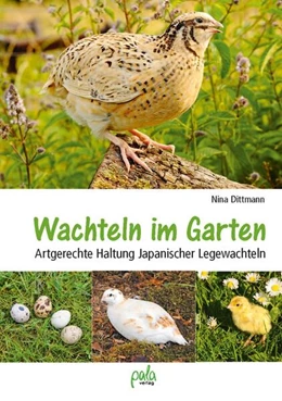 Abbildung von Dittmann | Wachteln im Garten | 1. Auflage | 2025 | beck-shop.de