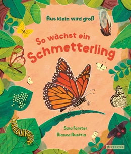 Abbildung von Forster / Austria | Aus klein wird groß. So wächst ein Schmetterling | 1. Auflage | 2025 | beck-shop.de