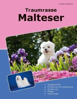Abbildung von Schildknecht | Traumrasse Malteser | 1. Auflage | 2024 | beck-shop.de