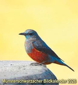 Abbildung von Abtei Münsterschwarzach | Münsterschwarzacher Bildkalender 2026 | 1. Auflage | 2025 | beck-shop.de