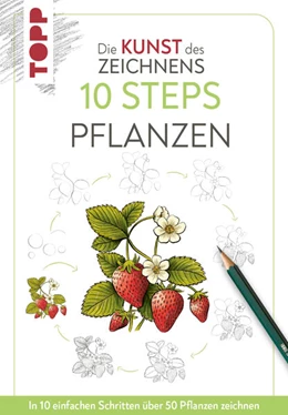 Abbildung von Lecouffe | Die Kunst des Zeichnens 10 Steps - Pflanzen | 1. Auflage | 2025 | beck-shop.de