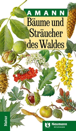 Abbildung von Amann | Bäume und Sträucher des Waldes | 22. Auflage | 2024 | beck-shop.de