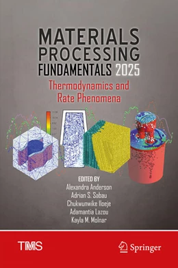 Abbildung von Anderson / Sabau | Materials Processing Fundamentals 2025 | 1. Auflage | 2025 | beck-shop.de