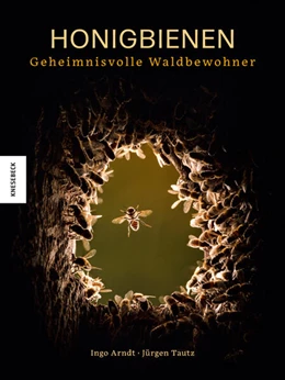 Abbildung von Arndt / Tautz | Honigbienen - Geheimnisvolle Waldbewohner | 1. Auflage | 2025 | beck-shop.de